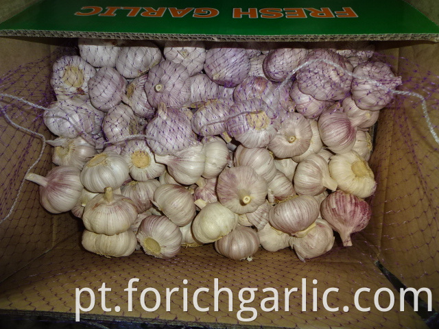 Crop 2019 Regular White Garlic